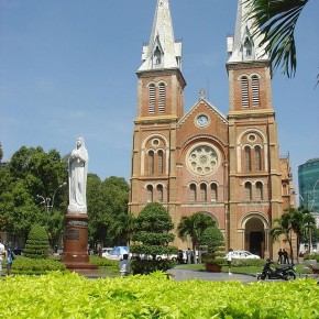 8月30日(日)　年間第２２主日-Thông tin trong tuần